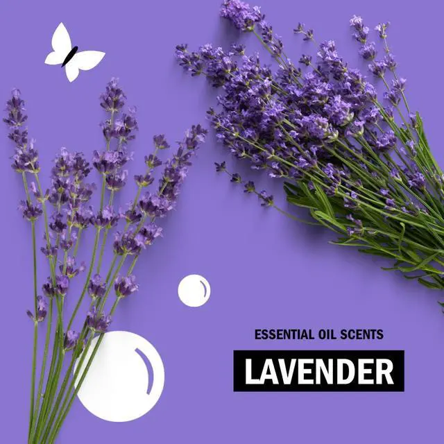 Alt view image 7 of 7 - Fabric Softener Dryer Sheets for Sensitive Skin | Plant-Based Static Reducer, Plastic-Free Packaging | Lavender (120 Sheets)