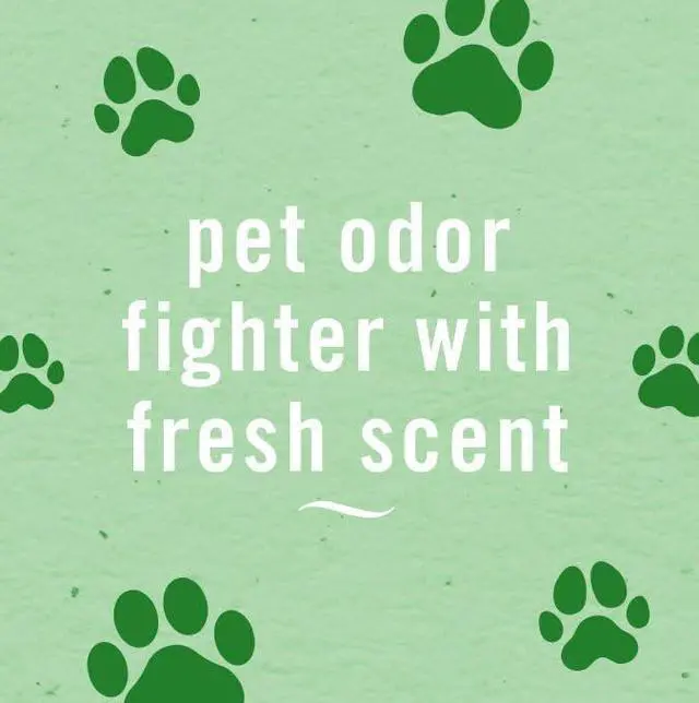 Alt view image 4 of 7 - Fabric Spray Air Freshener, Odor-Fighting Fabric Refresher, Sneaker Balls Alternative, Couch Cleaner, Linen Spray, Multi-Use, Pet Odor Fighter Scent, 23.6 fl oz