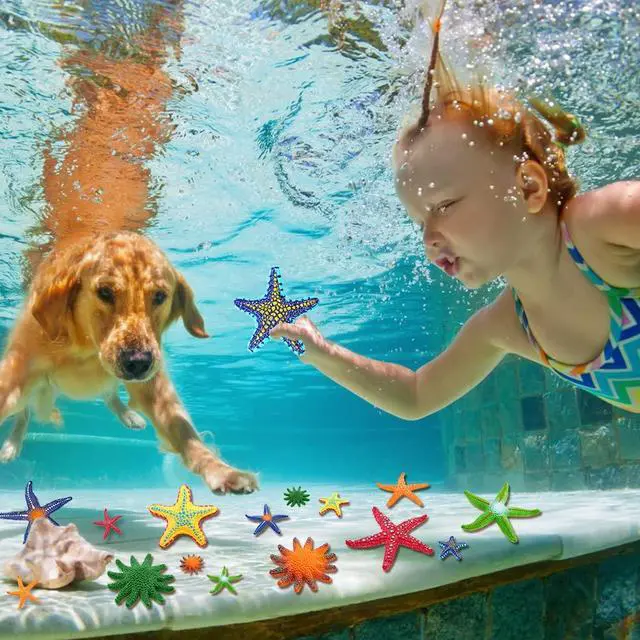 Alt view image 4 of 7 - 16 Pieces Big Diving Pool Toys, Beach Colorful Starfish Summer Swimming Underwater Pool Toys Soft Rubber Dive Throw for Kids Birthday Swimming Pool Party Favors Fish Tank Stuffer (2 Sizes)