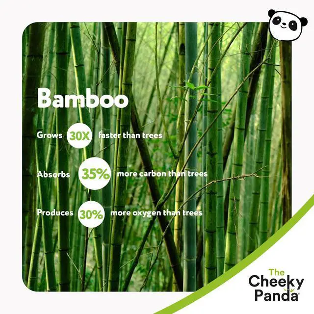 Alt view image 5 of 7 - Bamboo Toilet Paper Bulk | 12 Family Sized Rolls with 360 Soft Sheets Each (4320 Sheets) | Super Strong 3 Ply Biodegradable Toilet Paper