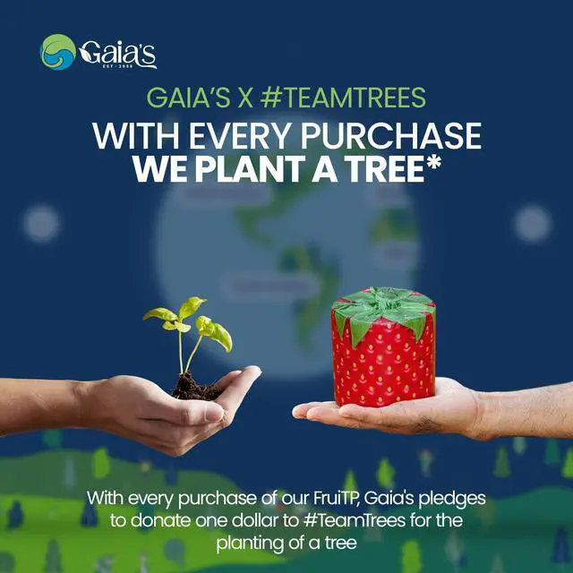 Alt view image 3 of 7 - Premium and Soft Fruit TP Organic Bamboo Toilet Paper | 12 Mega Rolls, 3 Ply, 370 Sheets | FSC Certified, PFAS & BPA Free, Eco-Friendly, Sustainable Tissue - Plastic Free, Septic Safe, Vegan