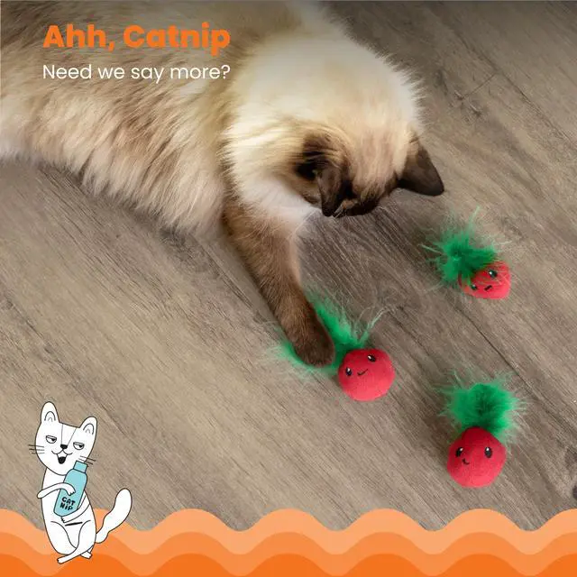 Alt view image 3 of 7 - Strawbabies 3-Pack Catnip Cat Toys for Dental Health, Feather & Crinkle Teething Toys for Kittens and Indoor Cats, Interactive Play, Pink