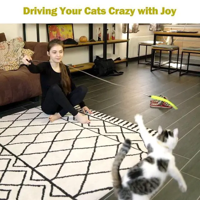 Alt view image 7 of 7 - Cat Toys for Indoor Cats, Interactive Cat Toy 2PCS Retractable Wand Toy and 9PCS Cat Feather Toys Refills, Funny Kitten Toys Cat Fishing Pole Toy for Bored Indoor Cats Chase and Exercise