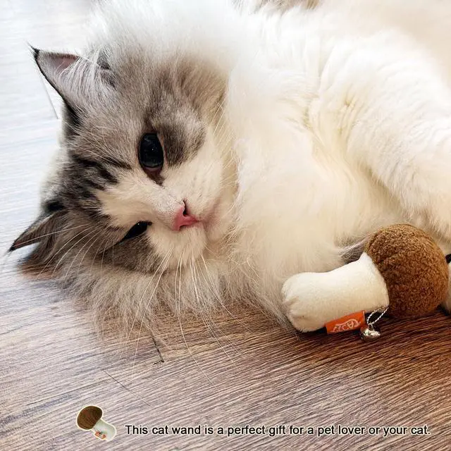 Alt view image 6 of 6 - Natural Wooden Cat Wand Toy with Catnip Plush Mushroom, Thick Unbreakable Rope Interactive Cat Teaser Stick with Bell, Indoor Kitten Boredom Relief Hunting Play Toy for Cats.