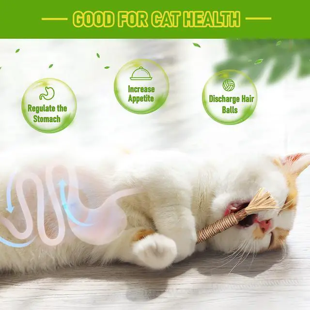 Alt view image 3 of 7 - Silvervine Sticks Cat Chew Toys for Indoor Cats Dental Care Teeth Cleaning, Natural Kitten & Cat Teething Toys for Health, Cat Chew Stick Suitable for All Breeds of Aggressive Chewers Cat