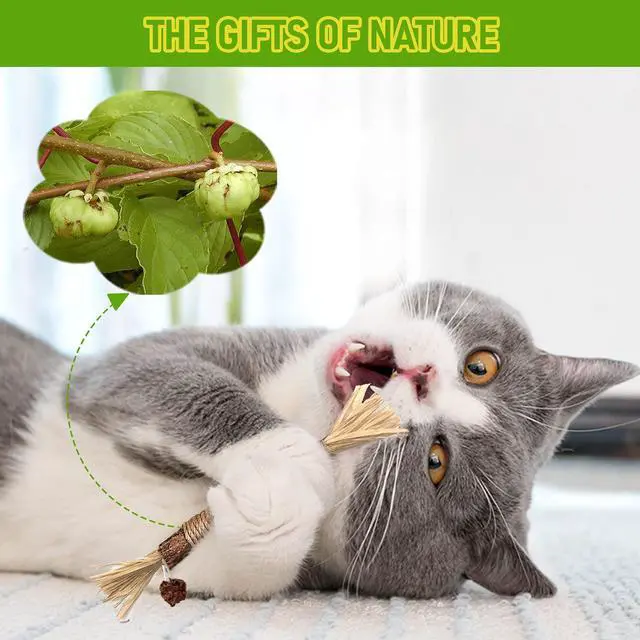 Alt view image 4 of 7 - Silvervine Sticks Cat Chew Toys for Indoor Cats Dental Care Teeth Cleaning, Natural Kitten & Cat Teething Toys for Health, Cat Chew Stick Suitable for All Breeds of Aggressive Chewers Cat