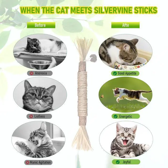 Alt view image 5 of 7 - Silvervine Sticks Cat Chew Toys for Indoor Cats Dental Care Teeth Cleaning, Natural Kitten & Cat Teething Toys for Health, Cat Chew Stick Suitable for All Breeds of Aggressive Chewers Cat