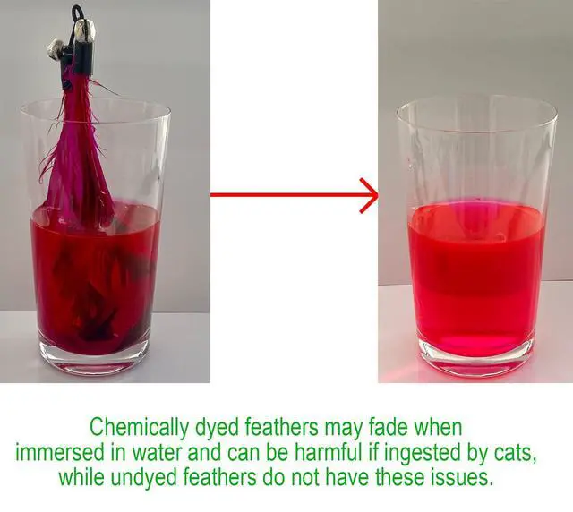 Alt view image 3 of 7 - Cat Toys - No Chemical Dyeing Cat Feather Toys for Indoor Cats - Include Cat Wand and Natural Feather Refills