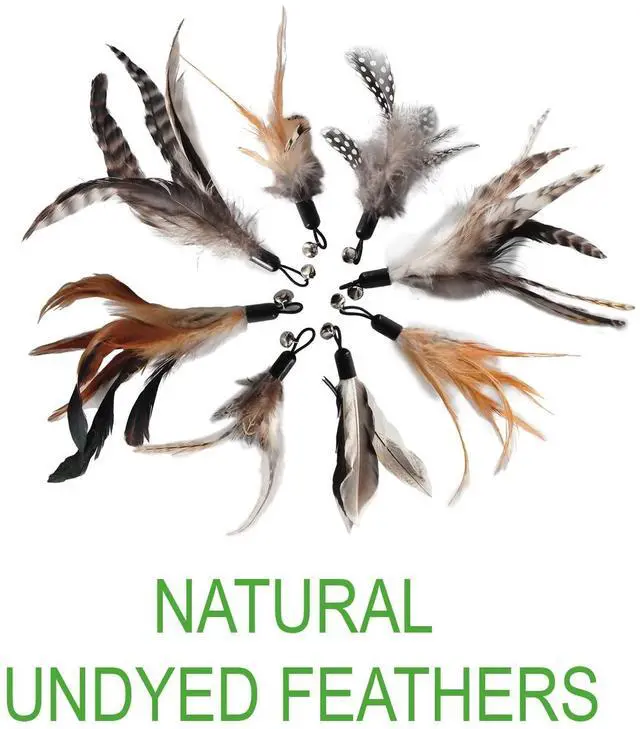 Alt view image 5 of 7 - Cat Toys - No Chemical Dyeing Cat Feather Toys for Indoor Cats - Include Cat Wand and Natural Feather Refills