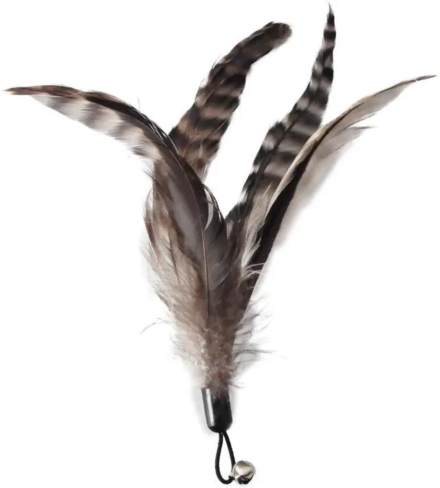 Alt view image 6 of 7 - Cat Toys - No Chemical Dyeing Cat Feather Toys for Indoor Cats - Include Cat Wand and Natural Feather Refills