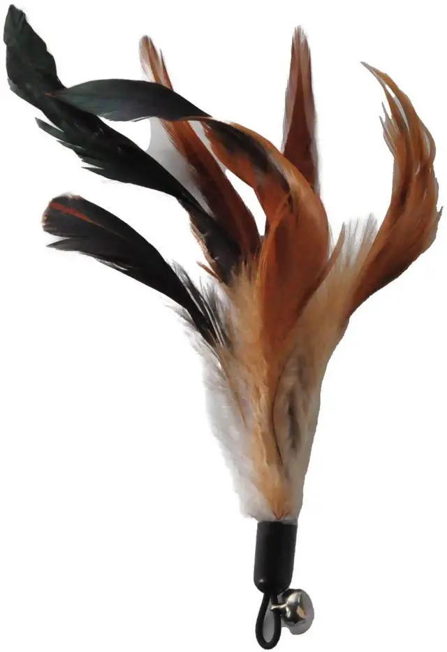 Alt view image 7 of 7 - Cat Toys - No Chemical Dyeing Cat Feather Toys for Indoor Cats - Include Cat Wand and Natural Feather Refills