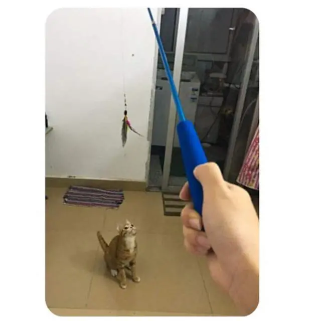 Alt view image 5 of 7 - Retractable Cat Wand - Interactive 3-Section Teaser Toy, Fishing Pole Exerciser for Cats and Kittens (Replacement Not Included)