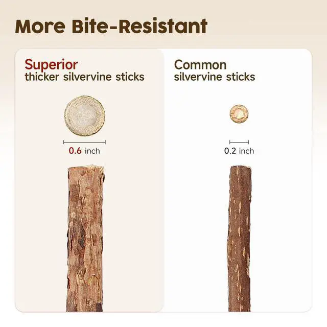 Alt view image 6 of 6 - 3 Pack Natural Silvervine Sticks Cat Toys, Catmint Silvervine Blend Sticks, Catnip Kittens Chew Toys Teeth Cleaning, Matatabi Dental Care Cat Treat Edible Kitty Lick Toys, Package May Vary