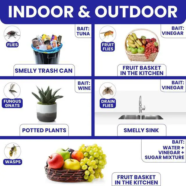 Alt view image 3 of 7 - Fly Stick Sticky Fly Traps for Indoors Outdoor 6pk. Non-Toxic Super Sticky Hanging Flies Catcher Paper Tape Strips for Home. Catches All Bugs and gnats. Indoor Outdoor House Flying Insect Trap.