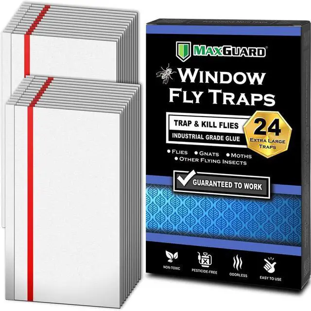 Main image of Window Fly Traps (24 XL Traps) Catch & Kill Houseflies, Flying Insects & Bugs. Non-Toxic Sticky Glue Traps Fly Killer Clear Strip Insect Catcher Safe No Zapping with Zapper |