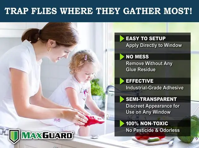 Alt view image 2 of 6 - Window Fly Traps (24 XL Traps) Catch & Kill Houseflies, Flying Insects & Bugs. Non-Toxic Sticky Glue Traps Fly Killer Clear Strip Insect Catcher Safe No Zapping with Zapper |