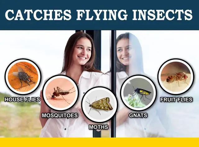 Alt view image 4 of 6 - Window Fly Traps (24 XL Traps) Catch & Kill Houseflies, Flying Insects & Bugs. Non-Toxic Sticky Glue Traps Fly Killer Clear Strip Insect Catcher Safe No Zapping with Zapper |