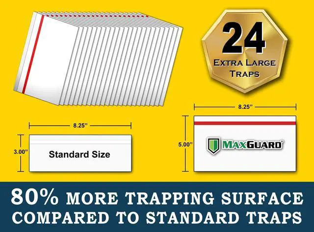Alt view image 3 of 6 - Window Fly Traps (24 XL Traps) Catch & Kill Houseflies, Flying Insects & Bugs. Non-Toxic Sticky Glue Traps Fly Killer Clear Strip Insect Catcher Safe No Zapping with Zapper |
