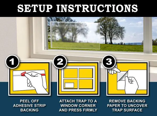 Alt view image 5 of 6 - Window Fly Traps (24 XL Traps) Catch & Kill Houseflies, Flying Insects & Bugs. Non-Toxic Sticky Glue Traps Fly Killer Clear Strip Insect Catcher Safe No Zapping with Zapper |