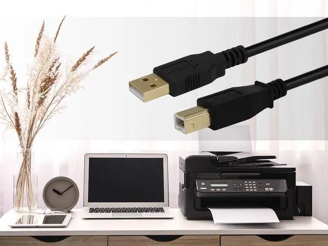 Alt view image 6 of 6 - 15-Feet USB 2.0 A Male to B Male 28/24AWG Cable (Gold Plated) (105440)