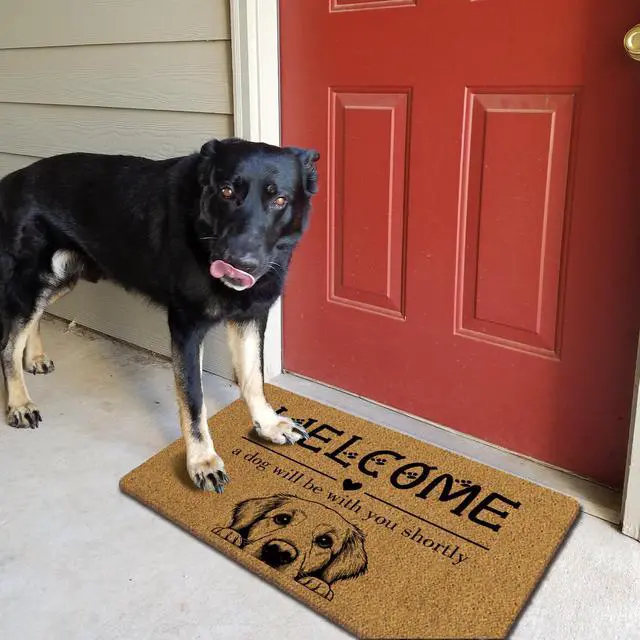 Alt view image 3 of 6 - Funny Dog Welcome Mats for Front Door, Golden Retriever Mat Outside Entrance Indoor Outdoor Entryway, Keep Door Closed Sign Paw Print Doormat, 30x17 Inch
