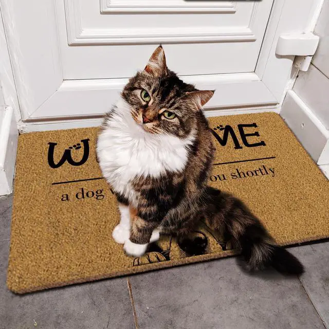 Alt view image 4 of 6 - Funny Dog Welcome Mats for Front Door, Golden Retriever Mat Outside Entrance Indoor Outdoor Entryway, Keep Door Closed Sign Paw Print Doormat, 30x17 Inch