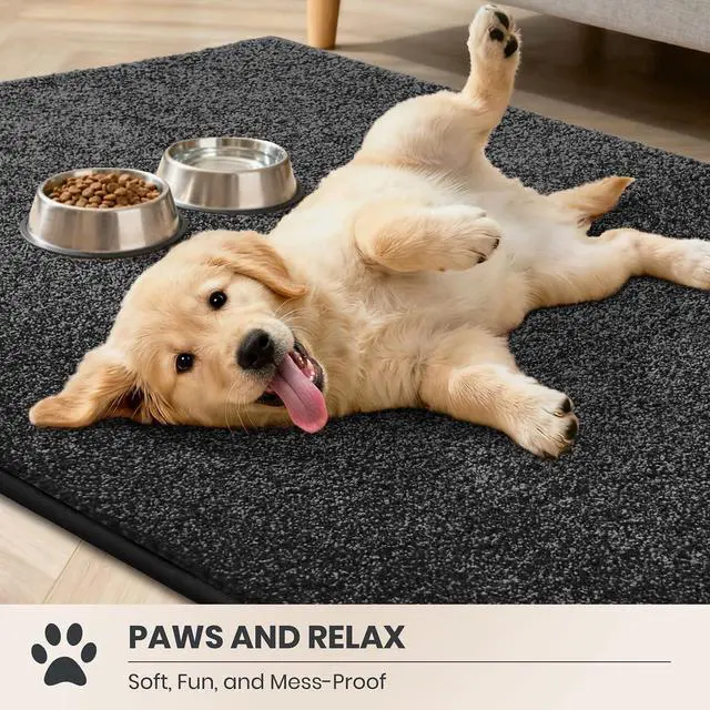 Alt view image 3 of 7 - Dirt Trapping Door Mat 24" x 35.5", Non-Slip Machine Washable Entryway Rug, Dog Doormat, Indoor Front Door Mat, Super Absorbent Entry Rug for Muddy Shoes & Paws, Charcoal