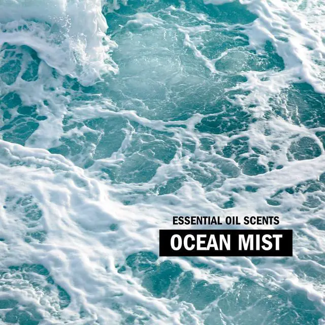 Alt view image 6 of 7 - Liquid Laundry Detergent | Clean Laundry Detergent Soap for Sensitive Skin | 2x Concentrated, High Efficiency (HE) (Ocean Mist - 200 Loads)