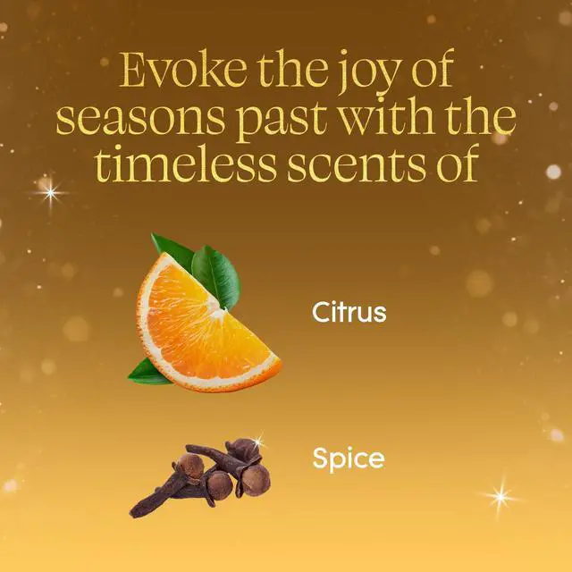 Alt view image 3 of 7 - PlugIns Refills Air Freshener, Orange Zest & Clove, Scented and Essential Oils for Home and Bathroom, 0.67 Fl Oz, 2 Count