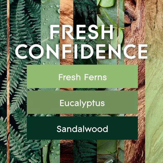 Alt view image 2 of 7 - PlugIns Refills Air Freshener, Fresh Confidence, Scented and Essential Oils for Home and Bathroom, 0.67 Fl Oz, 2 Count