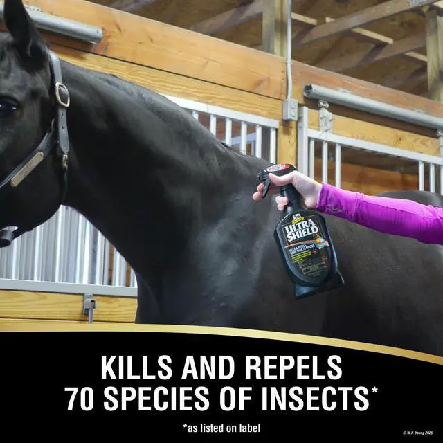 Alt view image 2 of 7 - UltraShield EX 32oz Sprayer Insecticide, Kills & Repels Flies, Mosquitoes, Ticks, Fleas, Lice, Use on Horses, Dogs, Premises
