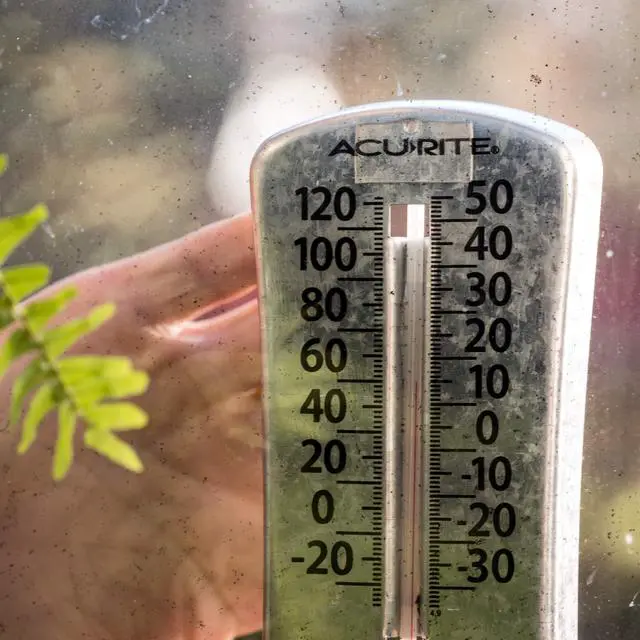 Alt view image 5 of 7 - T-Rex Strong Hold Clear Double Sided Mounting Tape, Heavy Duty, All Weather Indoor and Outdoor Use, Clear, 1 in x 60 in, 1 Roll (285338)