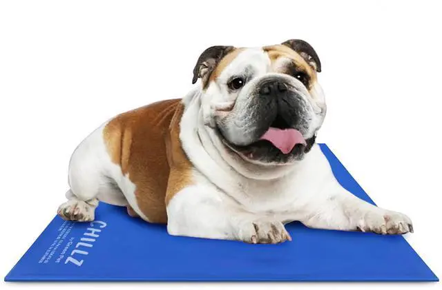 Main image of The Green Pet Shop Chillz Gel Mat, Large - Pressure-Activated Cooling Pad for Pets 25-50 lbs - Non-Toxic, No Water or Refrigeration Needed - Ideal for Home, Travel & Crates