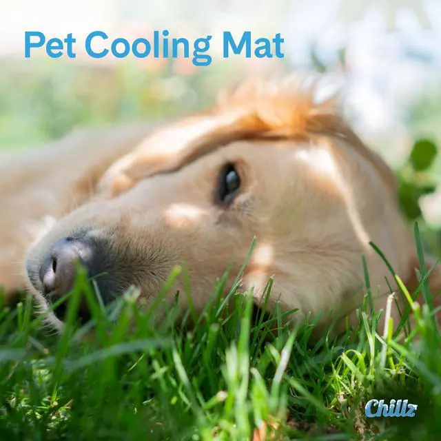 Alt view image 3 of 6 - The Green Pet Shop Chillz Gel Mat, Large - Pressure-Activated Cooling Pad for Pets 25-50 lbs - Non-Toxic, No Water or Refrigeration Needed - Ideal for Home, Travel & Crates