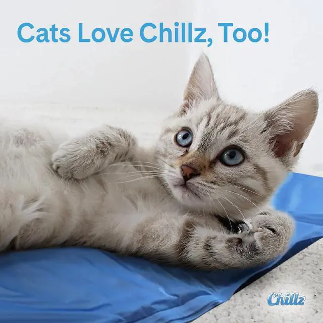 Alt view image 6 of 6 - The Green Pet Shop Chillz Gel Mat, Large - Pressure-Activated Cooling Pad for Pets 25-50 lbs - Non-Toxic, No Water or Refrigeration Needed - Ideal for Home, Travel & Crates