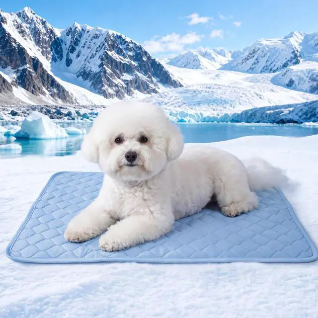 Main image of PatiencET Dog Cooling Mat, 22 x 28 in No-Gel Cooling Pad for Small Dogs, Puppies and Cats, Cool Touch Nylon Pet Mat, Washable Summer Dog Mat for Crate, Floor, Sofa, Car, Blue