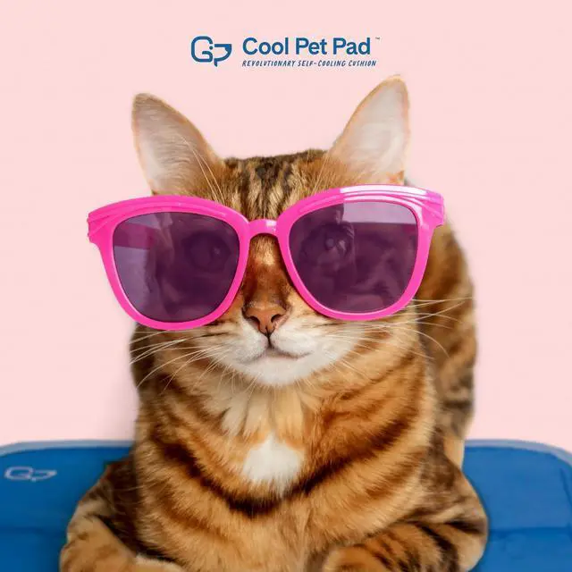 Alt view image 7 of 7 - The Green Pet Shop Cool Pet Pad - Extra Small, Blue - Self-Cooling, Pressure Activated Mat for Dogs & Cats from 0-8 lbs - Non-Toxic Gel, No Water Needed