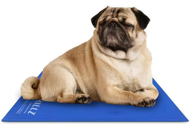 Main image of The Green Pet Shop Chillz Gel Mat, Medium - Pressure-Activated Cooling Pad for Pets 0-25 lbs - Non-Toxic, No Water or Refrigeration Needed - Ideal for Home, Travel & Crates