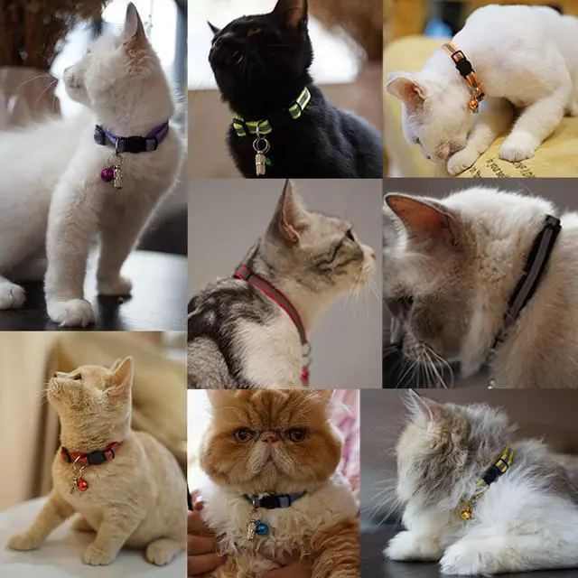 Alt view image 7 of 7 - 12 Pack Reflective-Breakaway Cat Collars with Bells,Safety Buckle Kitten Collar, with Name Tag, Adjustable,Ideal for Girl Cats Male Cats,Pet Supplies,Stuff,Accessories(12 Colors & 2 ID Tags)