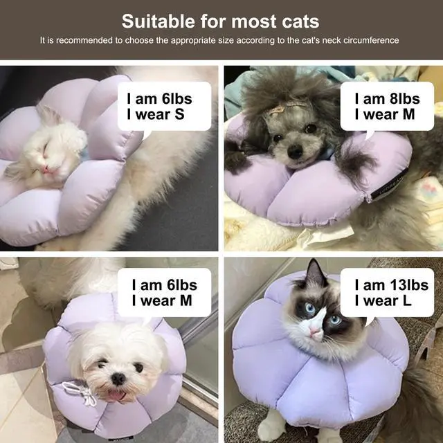 Alt view image 6 of 7 - Cat Cone Collar,Cute Waterproof Cat Recovery Collar,Anti-Bite Lick Wound Healing Safety Elizabethan e Collar for Cats,Purple Flower All-Season Style