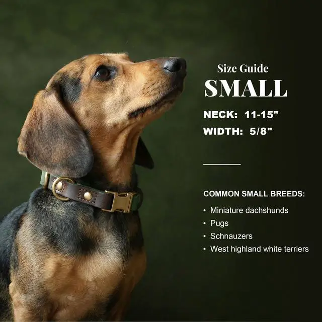 Alt view image 3 of 7 - Didog Soft PU Leather Dog Collars for Small Dogs,Classic Adjustable Dog Collars with Quick Release Metal Buckle,Easy Clean and Comfortable with Nylon Lining,Green,S Neck 11-15"