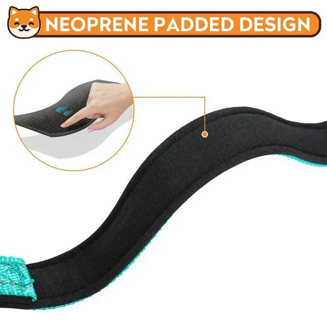 Alt view image 4 of 6 - PWOD Reflective Dog Collar, Adjustable Soft Neoprene Padded Nylon Pet Collars with Buckle for Medium Dogs, Teal,M