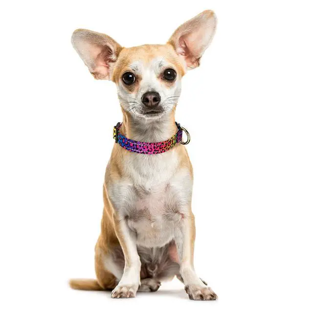 Alt view image 2 of 7 - TMOODEL Reflective Dog Collar for Extra Small Dogs Cats, Cute Leopard Style Adjustable Heavy-Duty Nylon Puppy Collar for Boy and Girl Female, Soft Pet Accessories with Quick Release Buckle, Neon