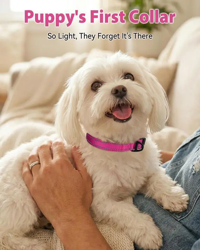 Alt view image 2 of 6 - Joytale Dog Collars for Small Dogs, Feather-Light Double-Sided Reflective Nylon Collar for Night Safety, Adjustable Quick-Release for Growing Puppies, Hotpink, S (5/8" Width)