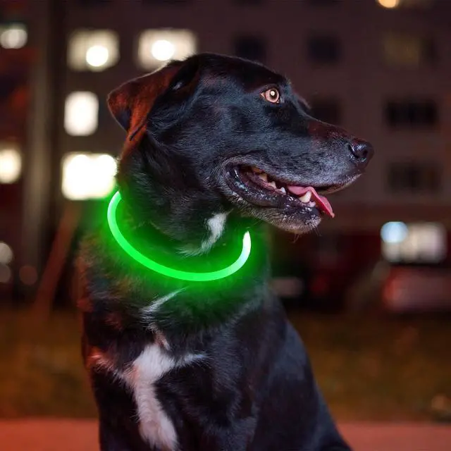 Alt view image 6 of 7 - Led Dog Collar, BSEEN USB Rechargeable Flash Dog Necklace Light, Pet Safety Collar Makes Your Beloved Dogs Be Seen at Night for Small Medium Large Dogs(Green)