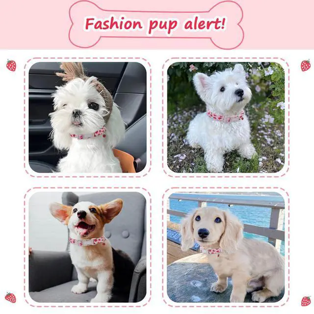 Alt view image 3 of 7 - Astdogio Pink Dog Collar for Small Dogs, Cute Dog Collars Girl Puppy Collar with Strawberry Pattern, Adjustable Cotton Pink Collar Ideal, Daily Photos & Pet Fashion