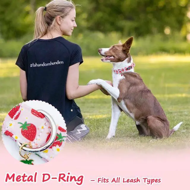 Alt view image 6 of 7 - Astdogio Pink Dog Collar for Small Dogs, Cute Dog Collars Girl Puppy Collar with Strawberry Pattern, Adjustable Cotton Pink Collar Ideal, Daily Photos & Pet Fashion