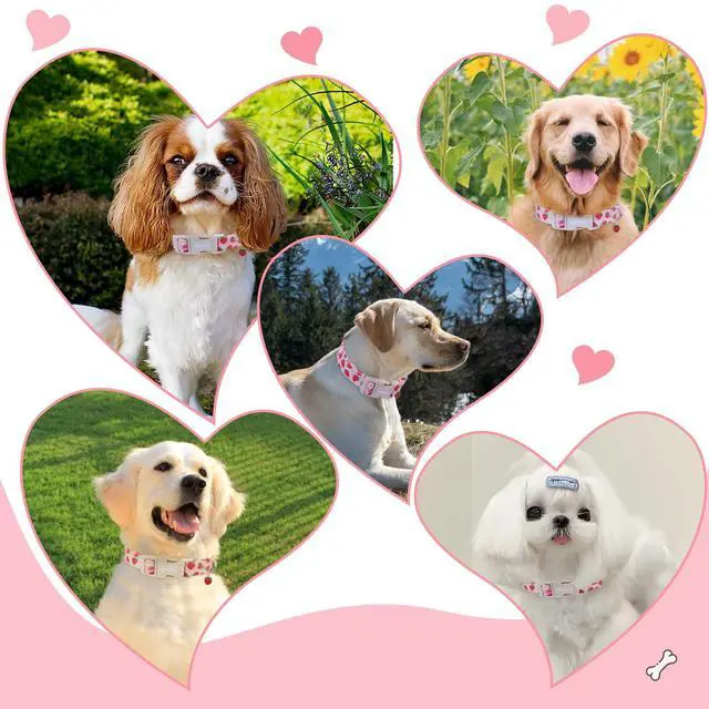 Alt view image 7 of 7 - Astdogio Pink Dog Collar for Small Dogs, Cute Dog Collars Girl Puppy Collar with Strawberry Pattern, Adjustable Cotton Pink Collar Ideal, Daily Photos & Pet Fashion