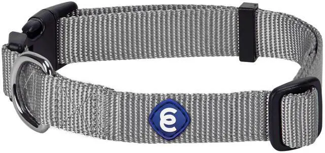 Main image of Blueberry Pet Essentials Medium Dog Collar in Flint Gray | Adjustable & Eco-Friendly Durable Nylon Strap | Classic Collar for Medium Dogs, Boy & Girl Pets