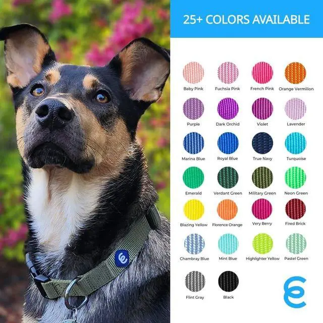 Alt view image 5 of 7 - Blueberry Pet Essentials Medium Dog Collar in Flint Gray | Adjustable & Eco-Friendly Durable Nylon Strap | Classic Collar for Medium Dogs, Boy & Girl Pets